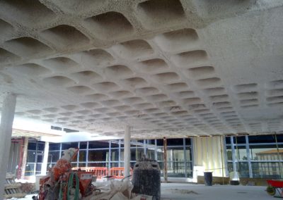 Ignifugación de estructuras metálicas y forjados en Perlita y vermiculita. Hospital de León